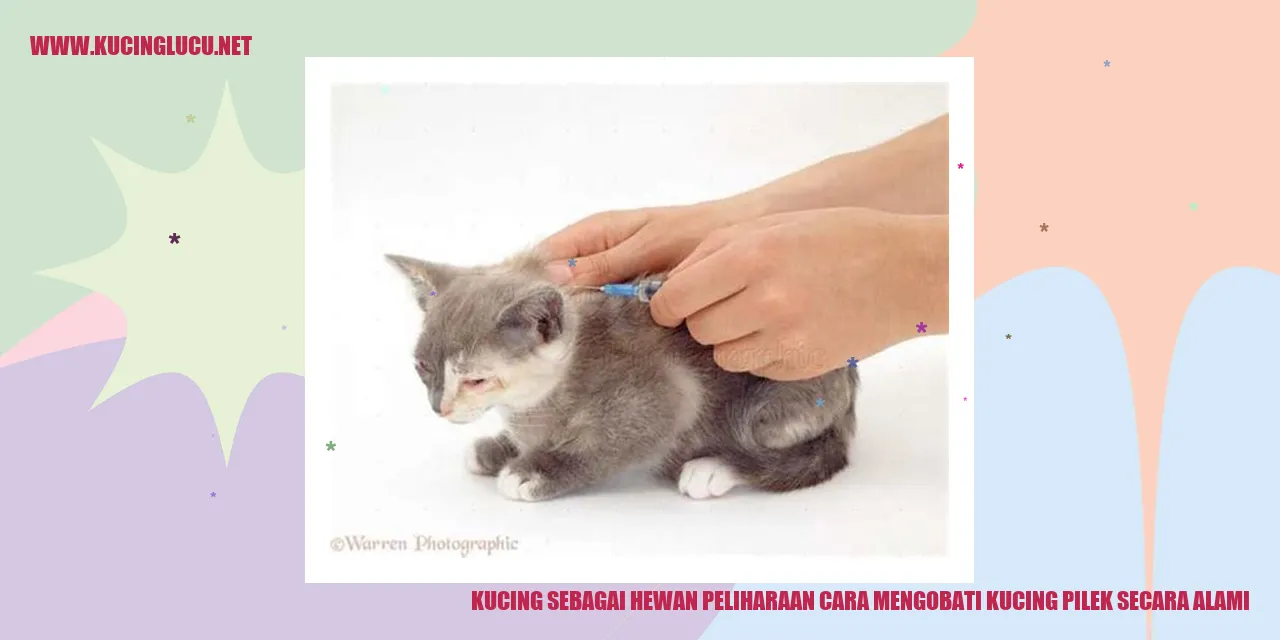 Kucing pilek