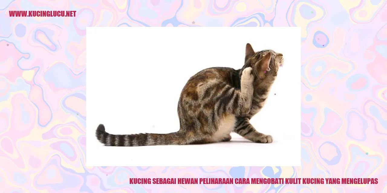 gambar kucing mengelupas