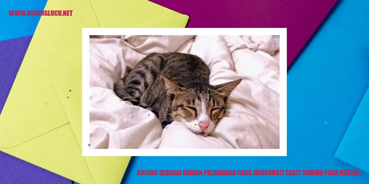 Kucing sebagai Hewan Peliharaan