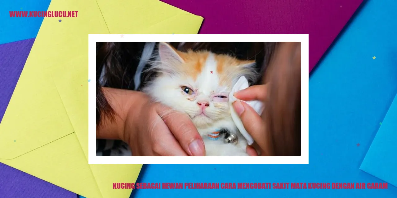 Gambar Kucing