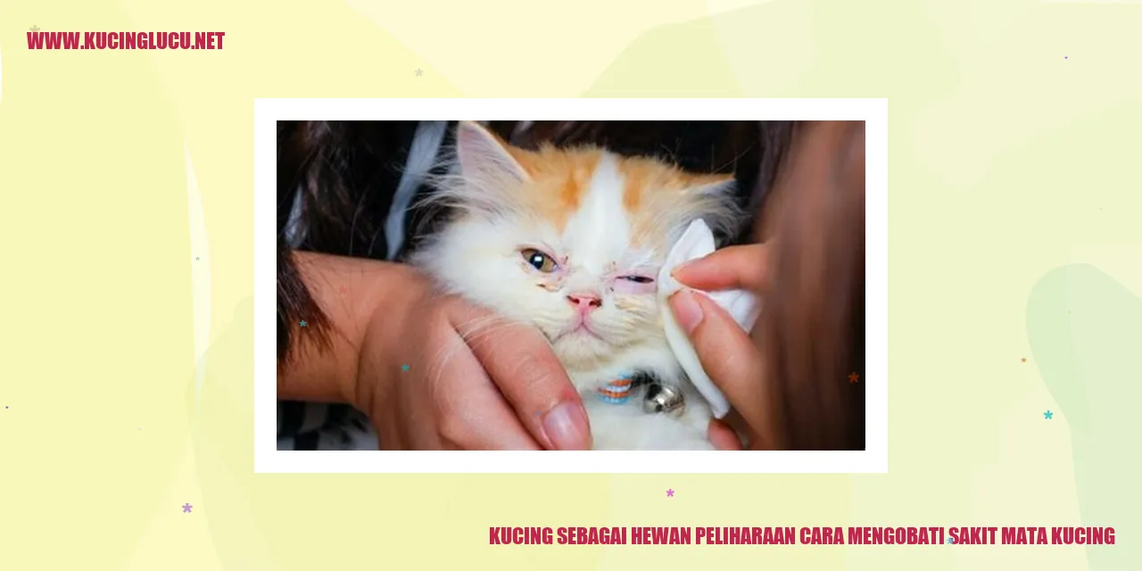 Kucing dengan mata yang sakit