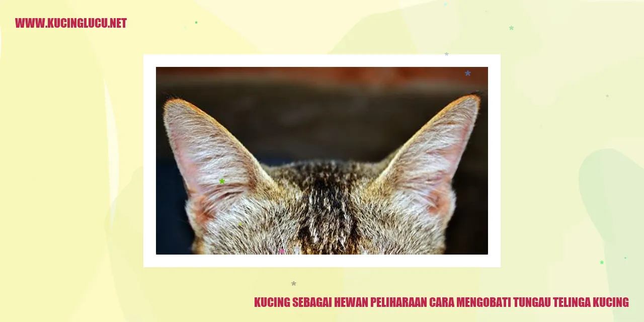 Kucing sebagai Hewan Peliharaan