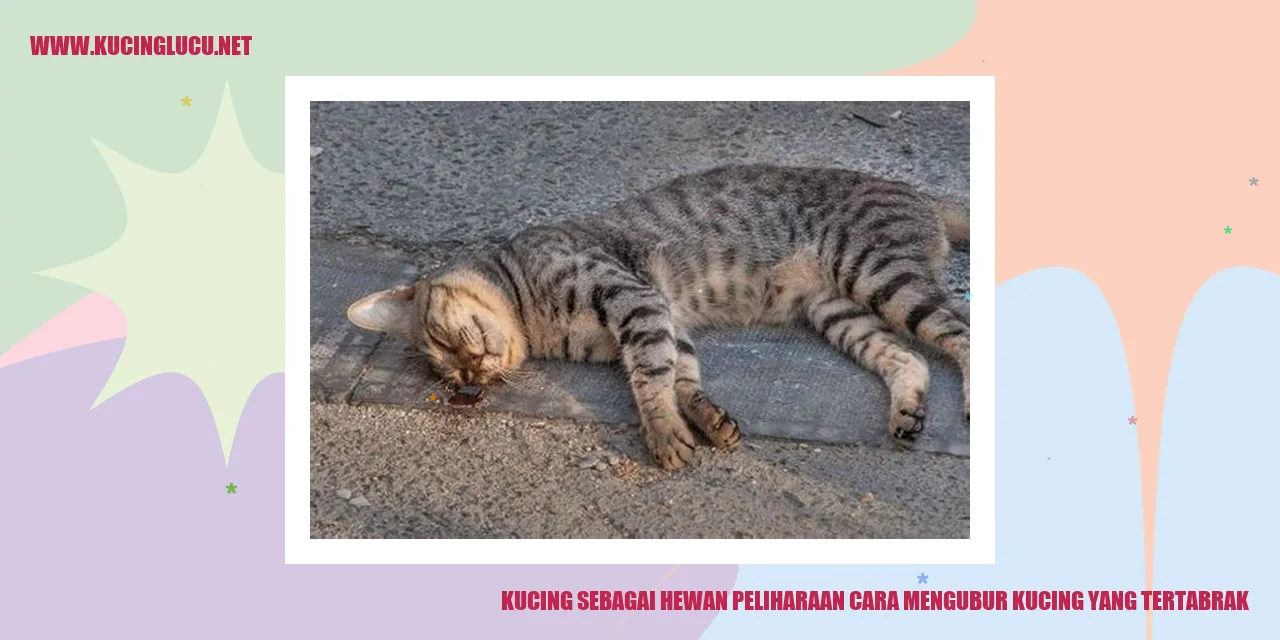 Ilustrasi Kucing