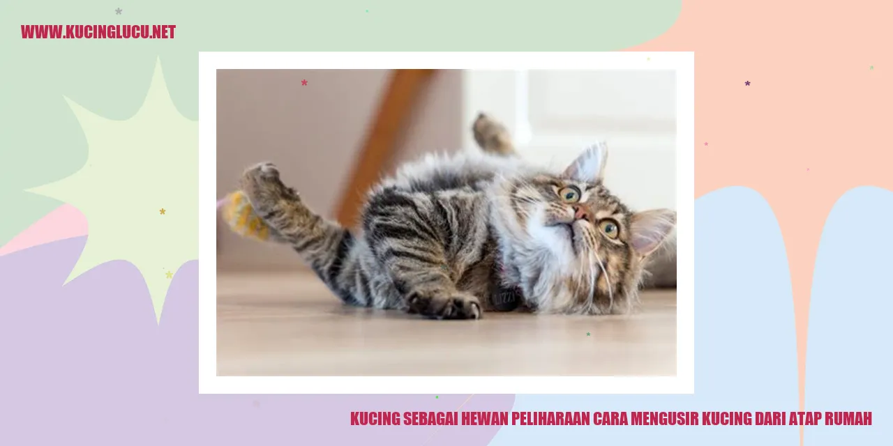 Kucing berada di atas atap rumah