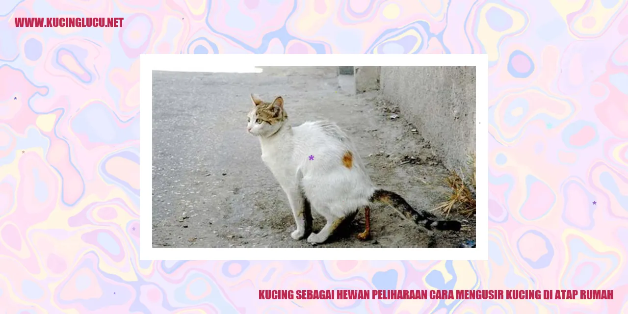 Kucing Mengintai di Atap Rumah
