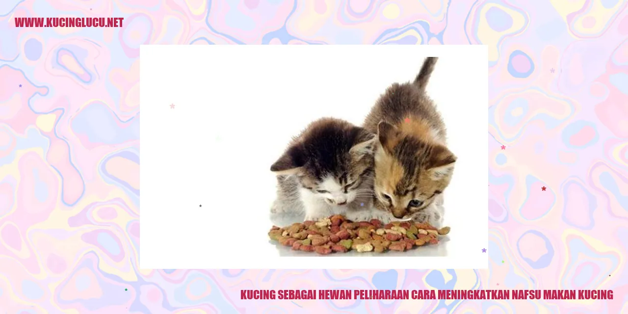 Kucing yang sedang makan