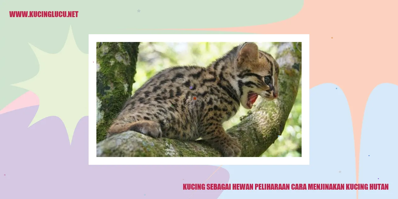 Kucing Hutan