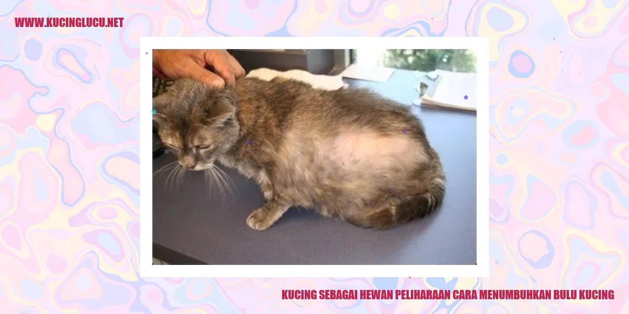 Bulu kucing yang sehat dan lebat