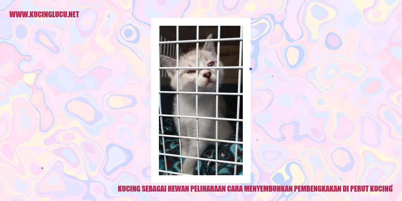 Kucing sebagai Hewan Peliharaan