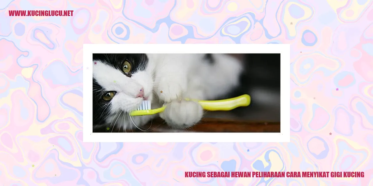 Gambar Kucing Menyikat Gigi