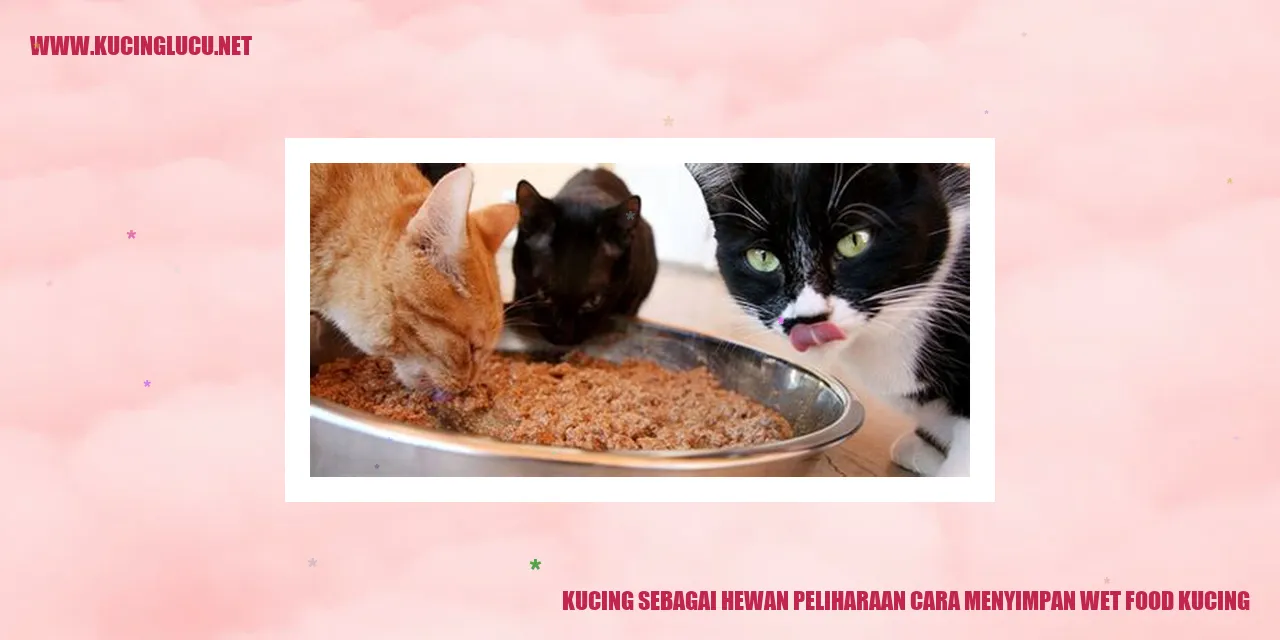 Kucing Makan Wet Food