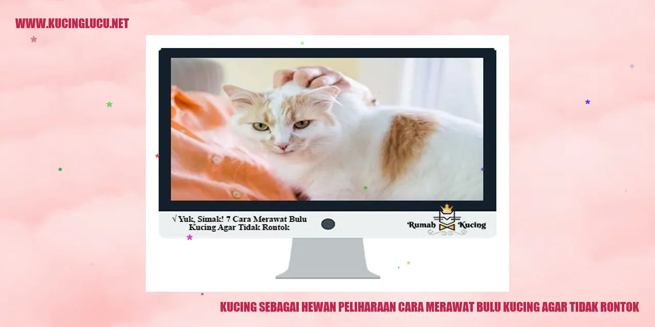 Kucing dengan bulu yang indah