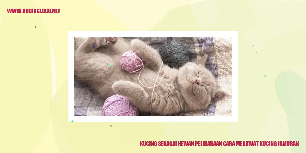 Kucing Jamuran