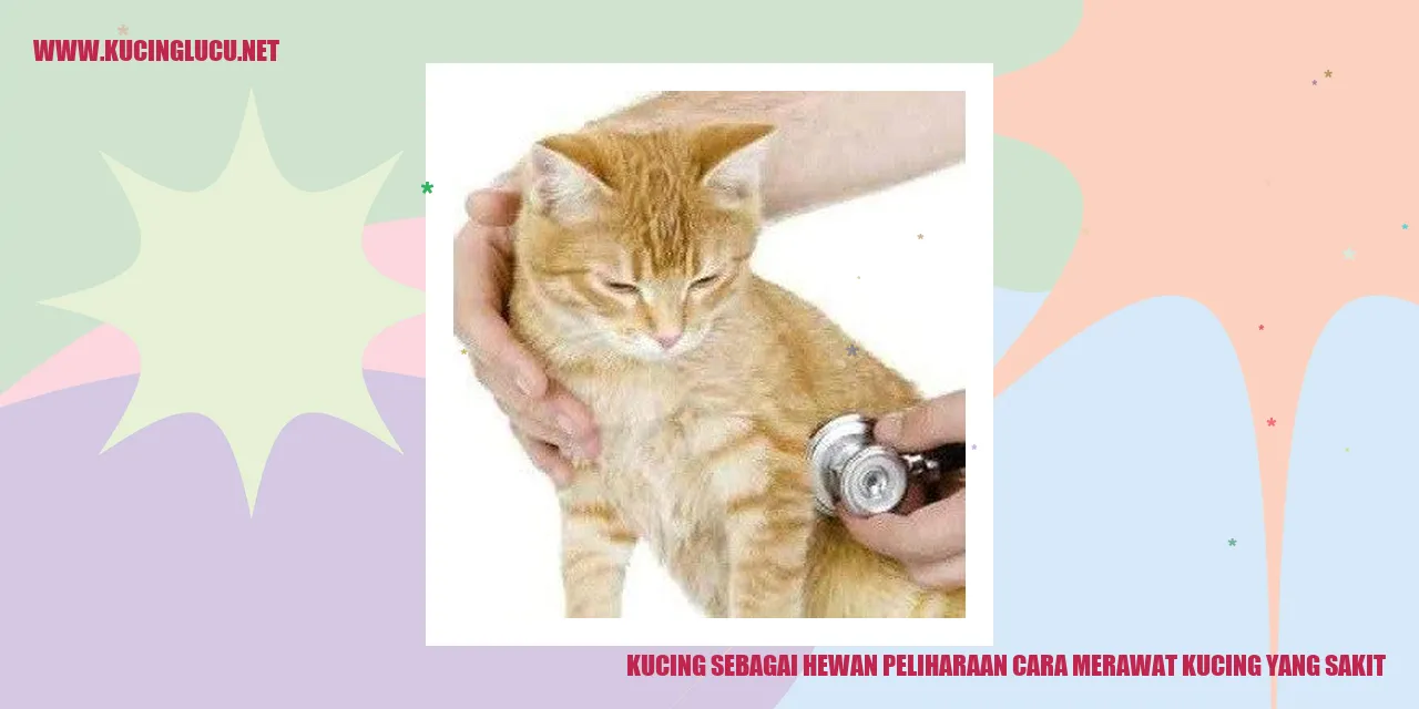 Kucing sakit