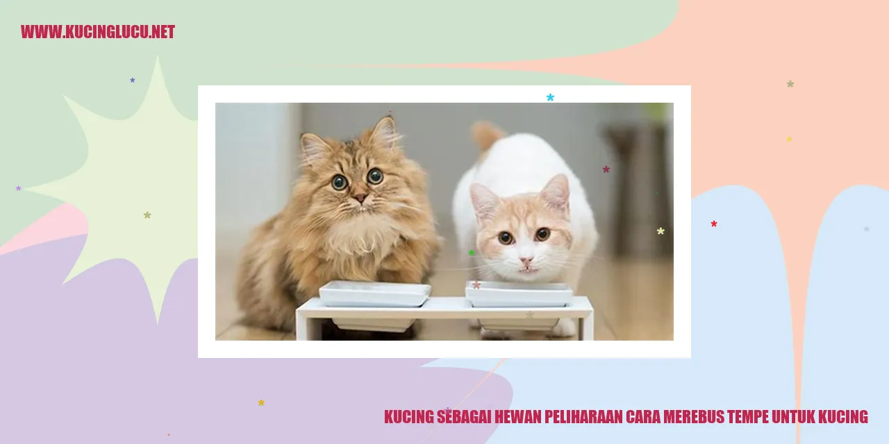 Kucing Makan Tempe Kucing Makan Tempe