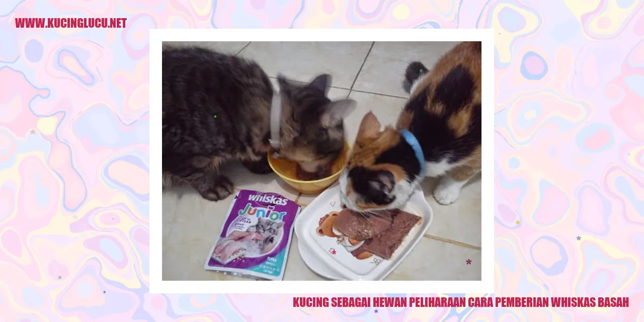 Kebersamaan Kucing dan Whiskas basah