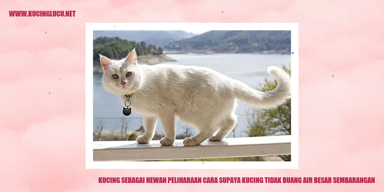 Gambar kucing