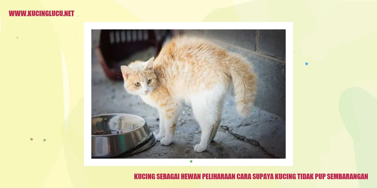 Kucing sebagai Hewan Peliharaan