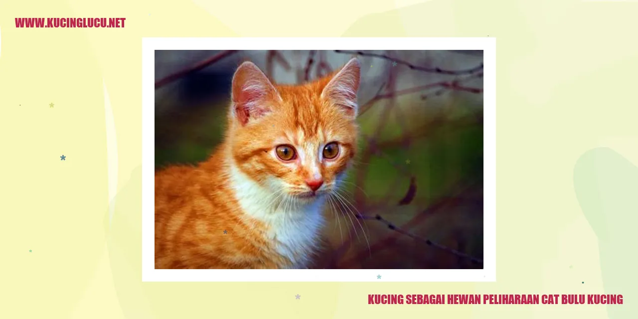 Kucing dengan bulu yang menawan