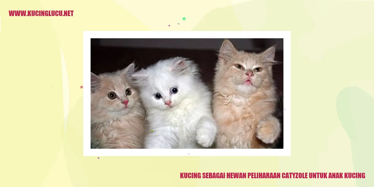 Kucing sebagai Hewan Peliharaan catyzole untuk anak kucing