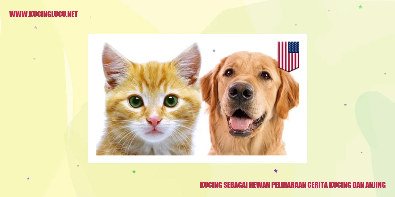 Kucing dan Anjing: Sebuah Kisah Persahabatan