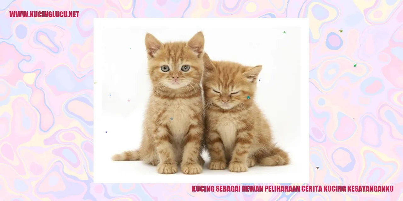 Kucing kesayanganku