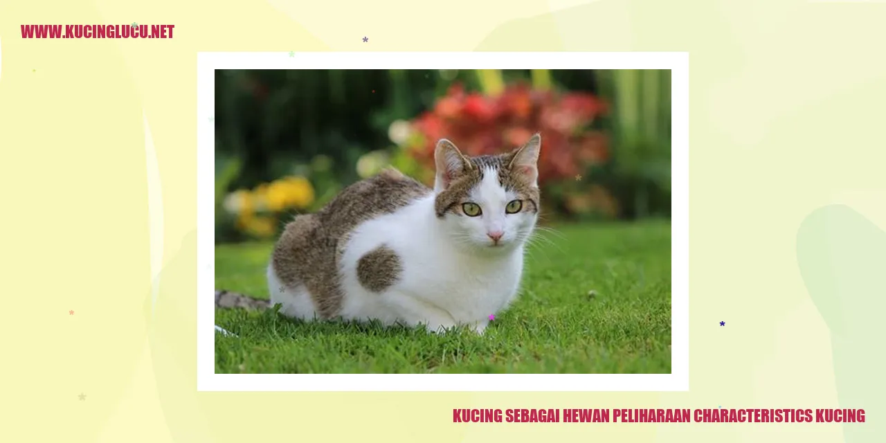 Kucing sebagai Hewan Peliharaan
