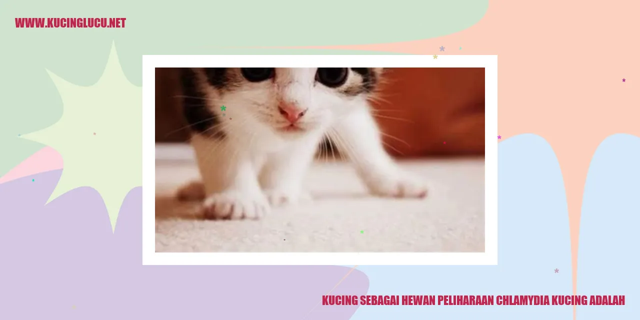 Gambar kucing yang menggemaskan