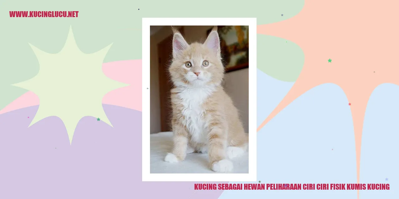 Gambar kucing