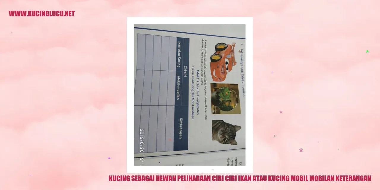 Gambar Kucing sebagai Hewan Piaraan