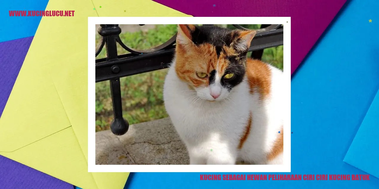 Kucing tengah batuk