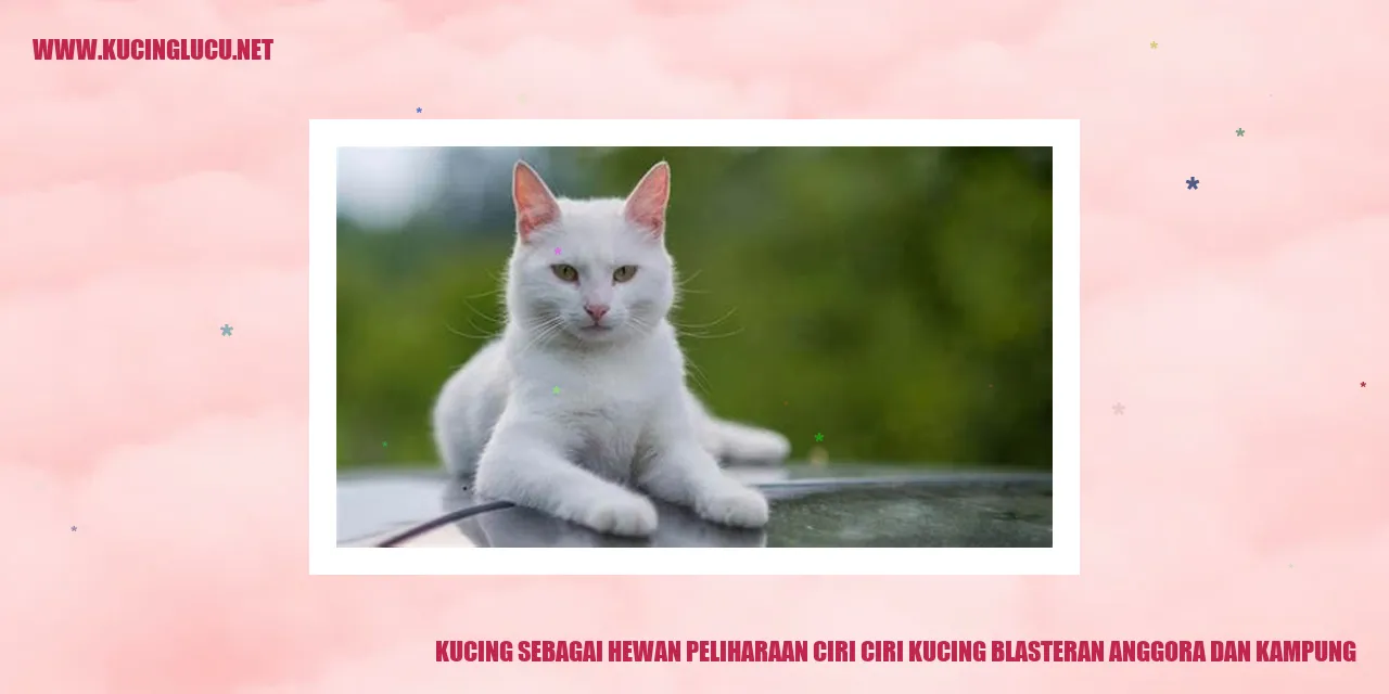 Gambar Kucing yang Menggemaskan