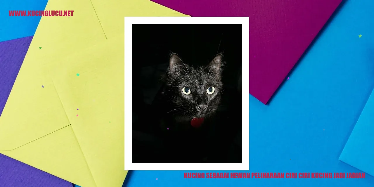 gambar kucing