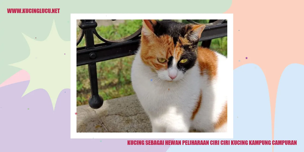 Potret Cantik Kucing Kampung