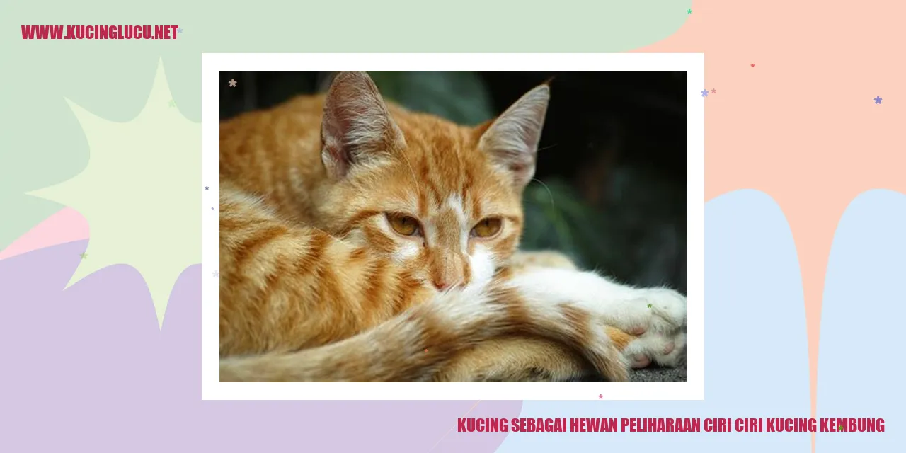 Kucing sebagai Hewan Peliharaan