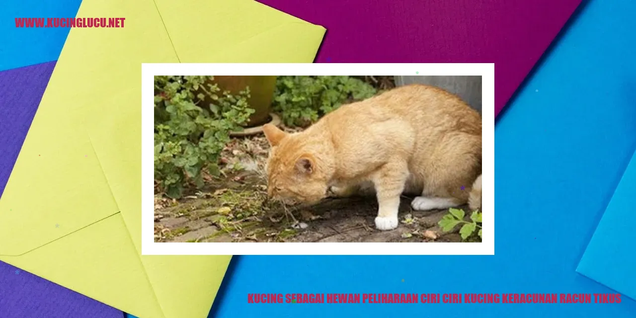 Gambar Kucing