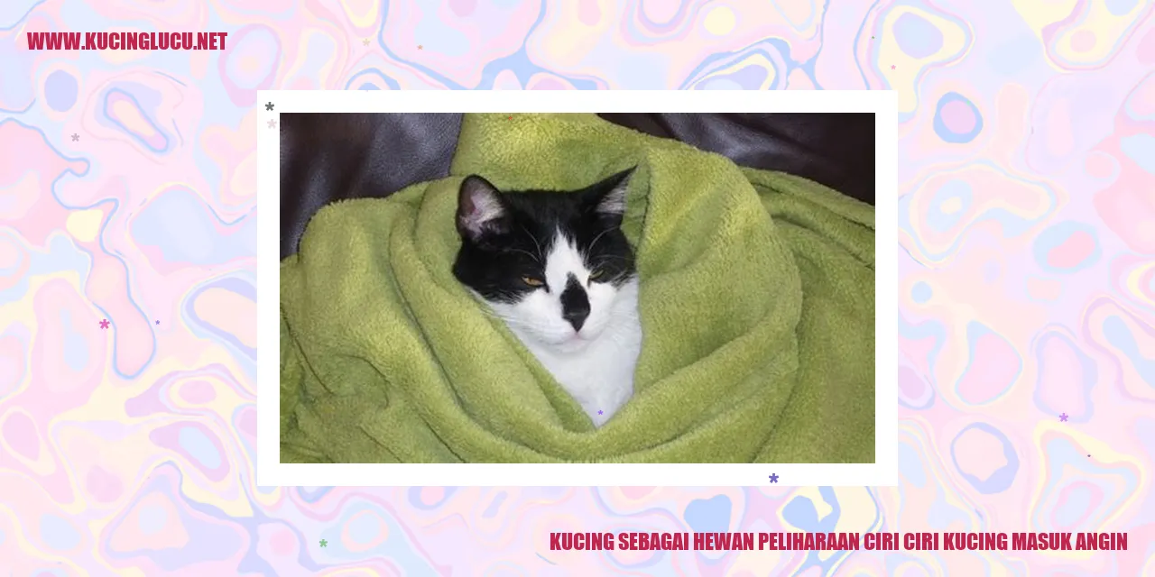 Kucing Sakit