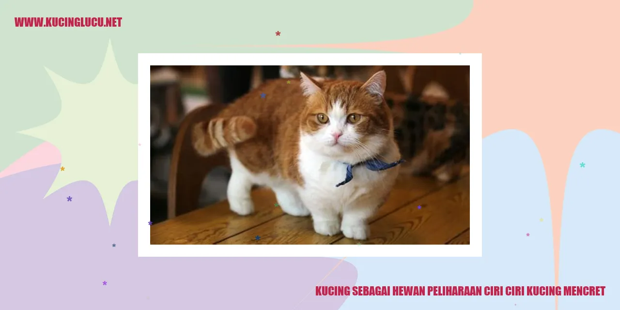 Kucing mencret