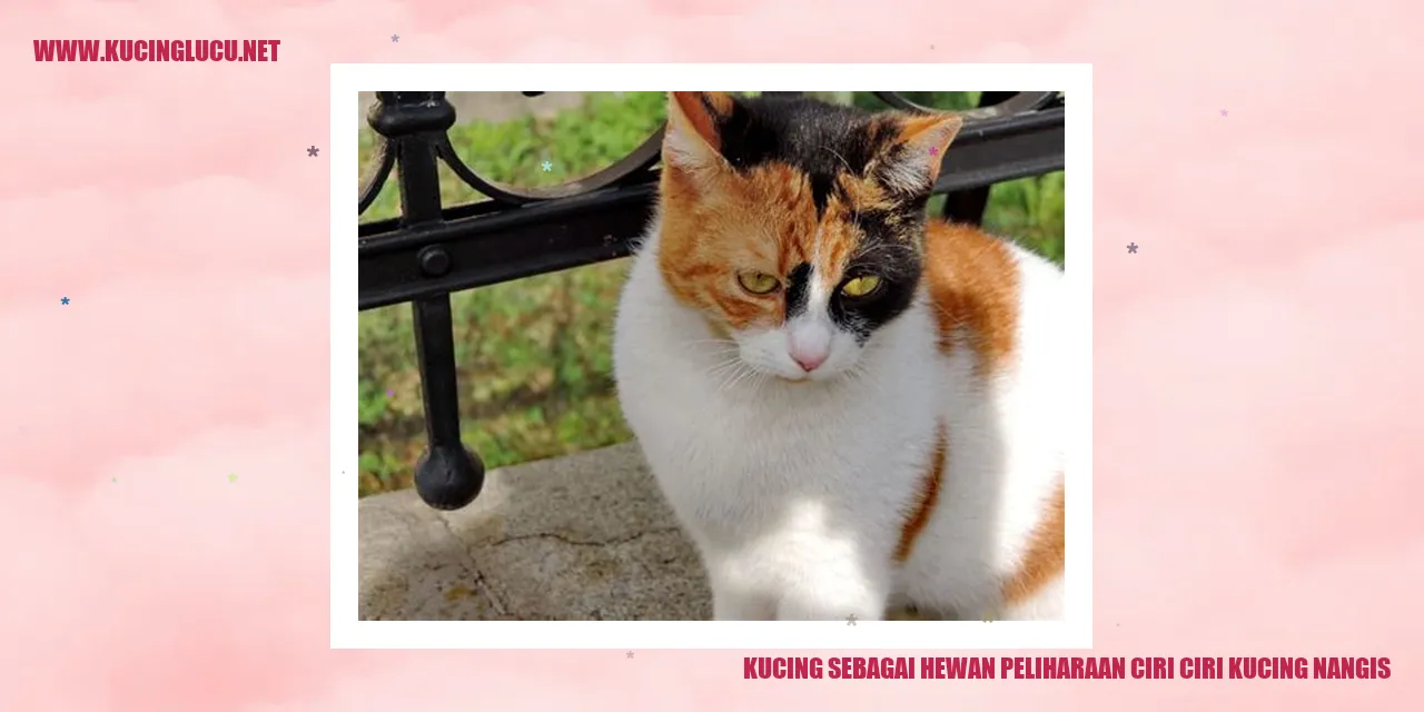 Kucing sebagai Hewan Peliharaan
