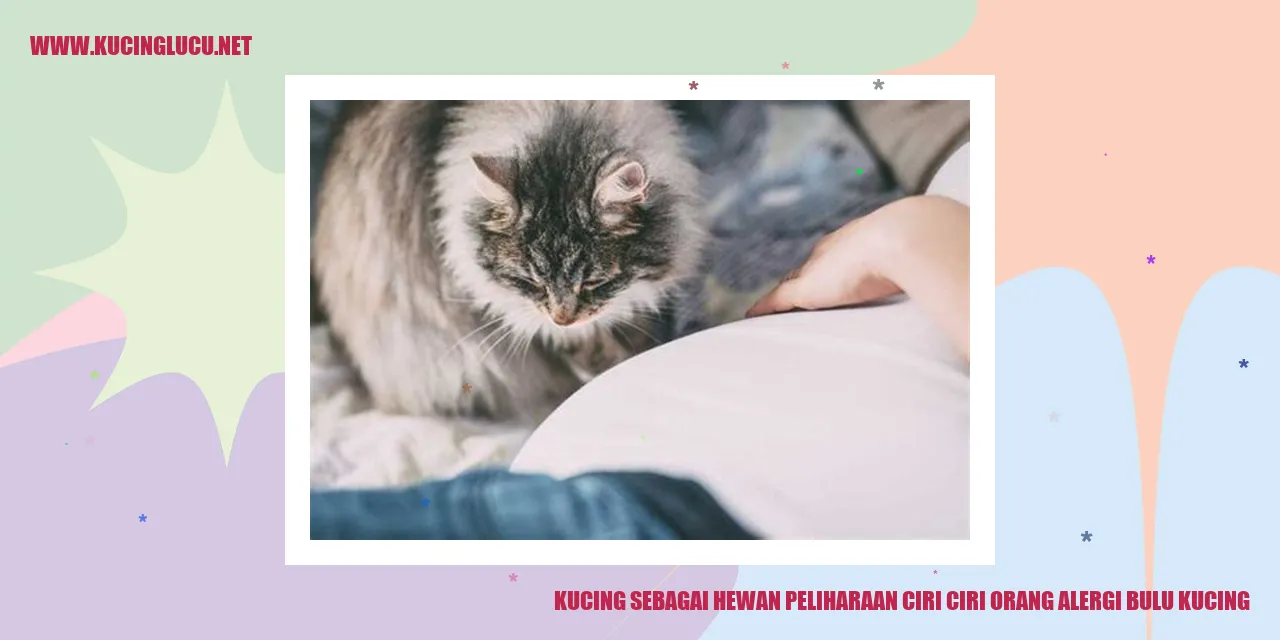 gambar kucing