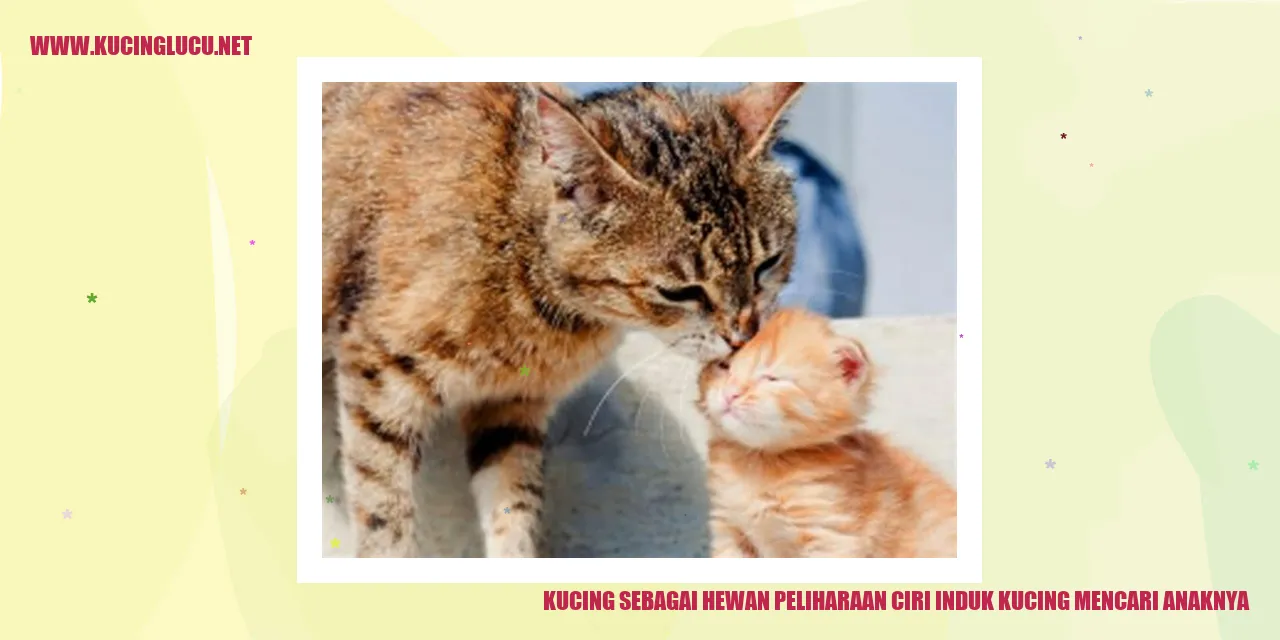 Kucing sebagai Hewan Peliharaan ciri induk kucing mencari anaknya