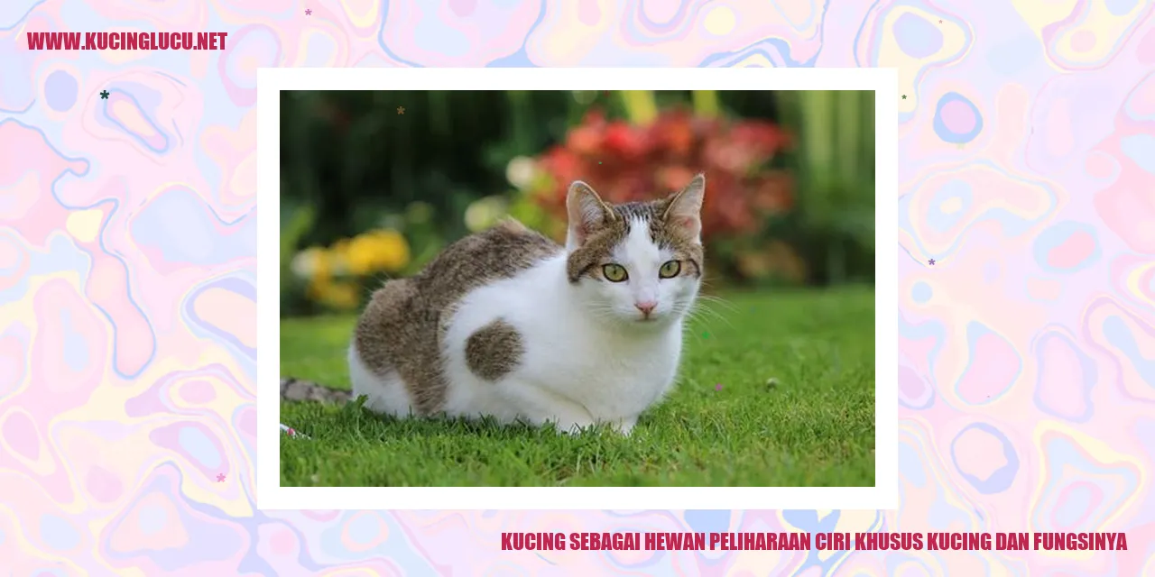 Kucing sebagai Hewan Peliharaan