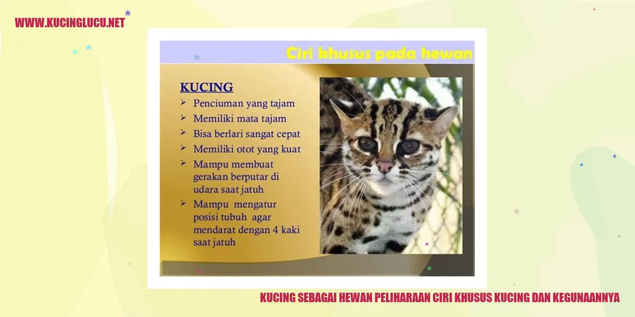 Gambar kucing yang menggemaskan