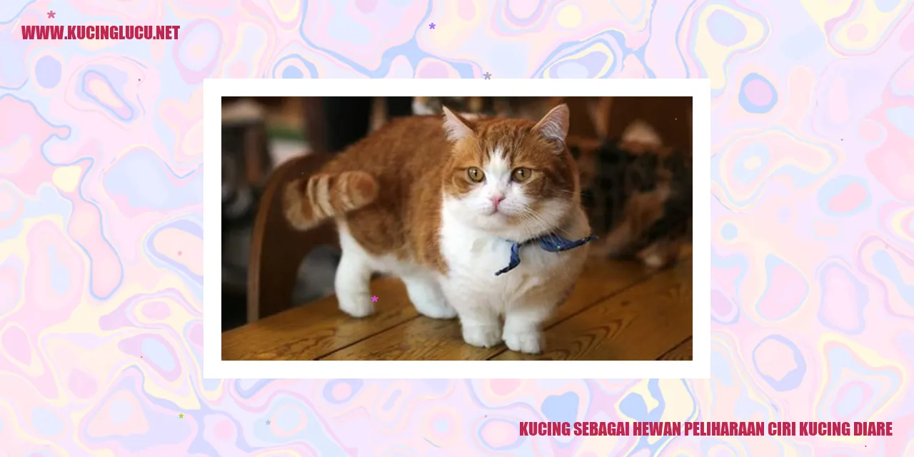 Kucing sebagai Hewan Peliharaan ciri kucing diare
