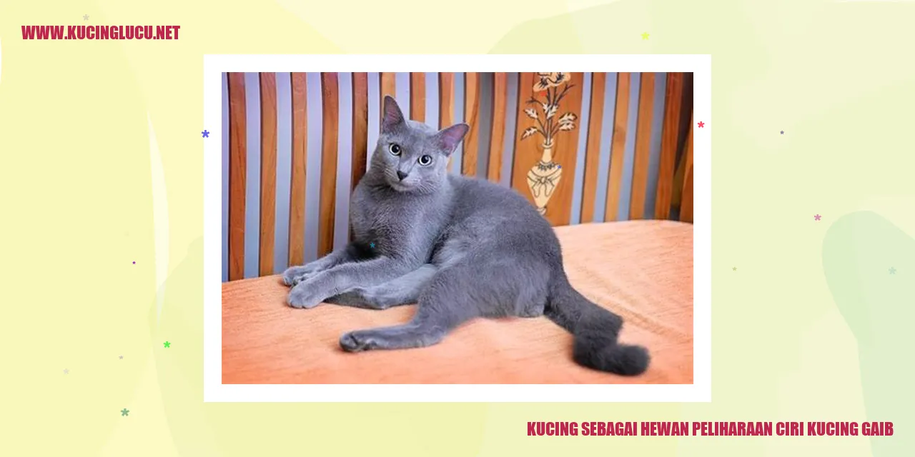 Kucing sebagai Hewan Peliharaan ciri kucing gaib