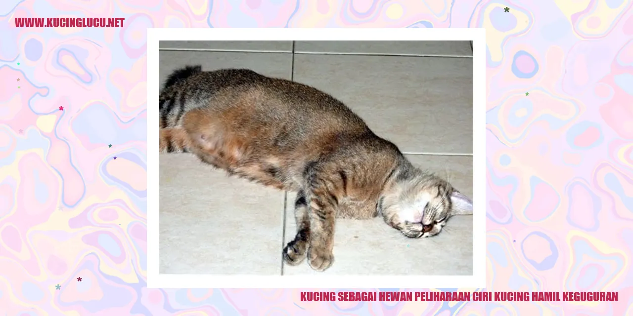 Kucing sebagai Teman Bercanda dan Tanda-tanda Kucing Hamil yang Mungkin Berakhir dengan Kegagalan