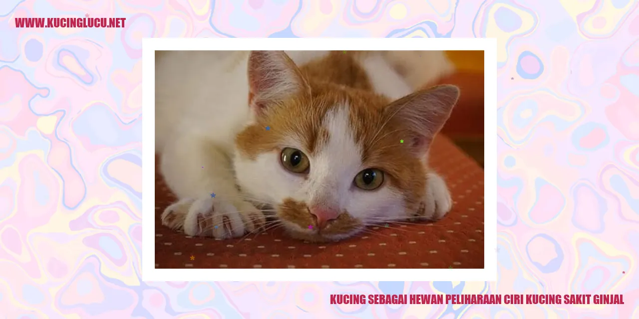 Kucing sebagai Hewan Peliharaan ciri kucing sakit ginjal