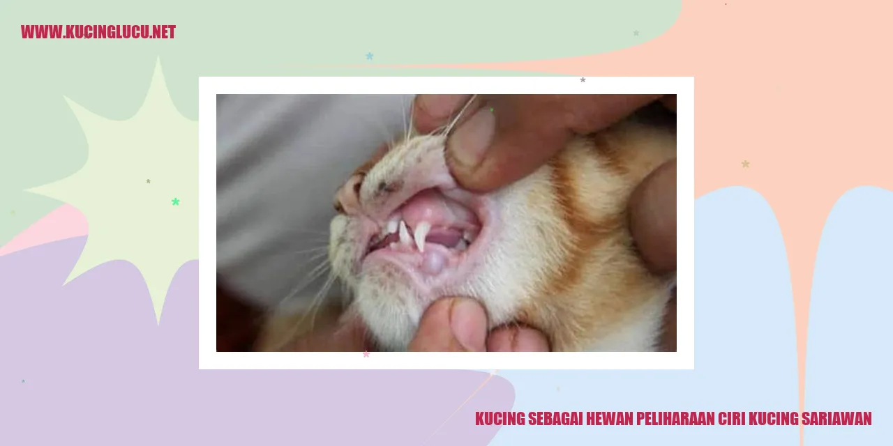 Gambar kucing yang mengalami masalah sariawan