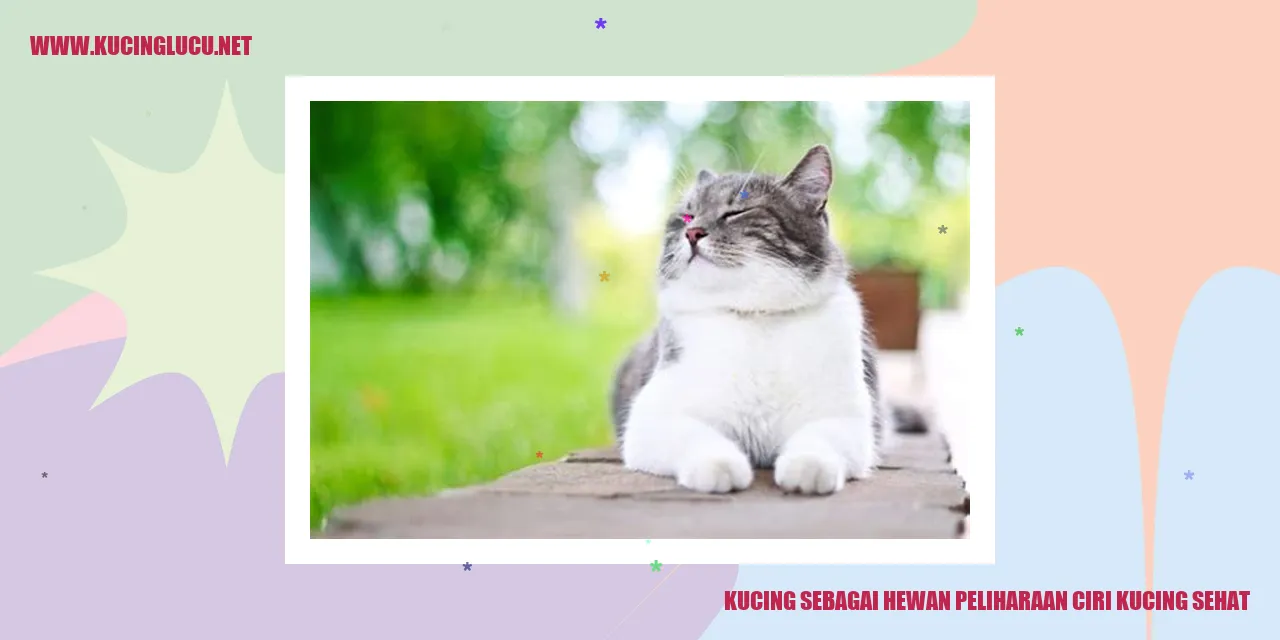 Kucing Sehat