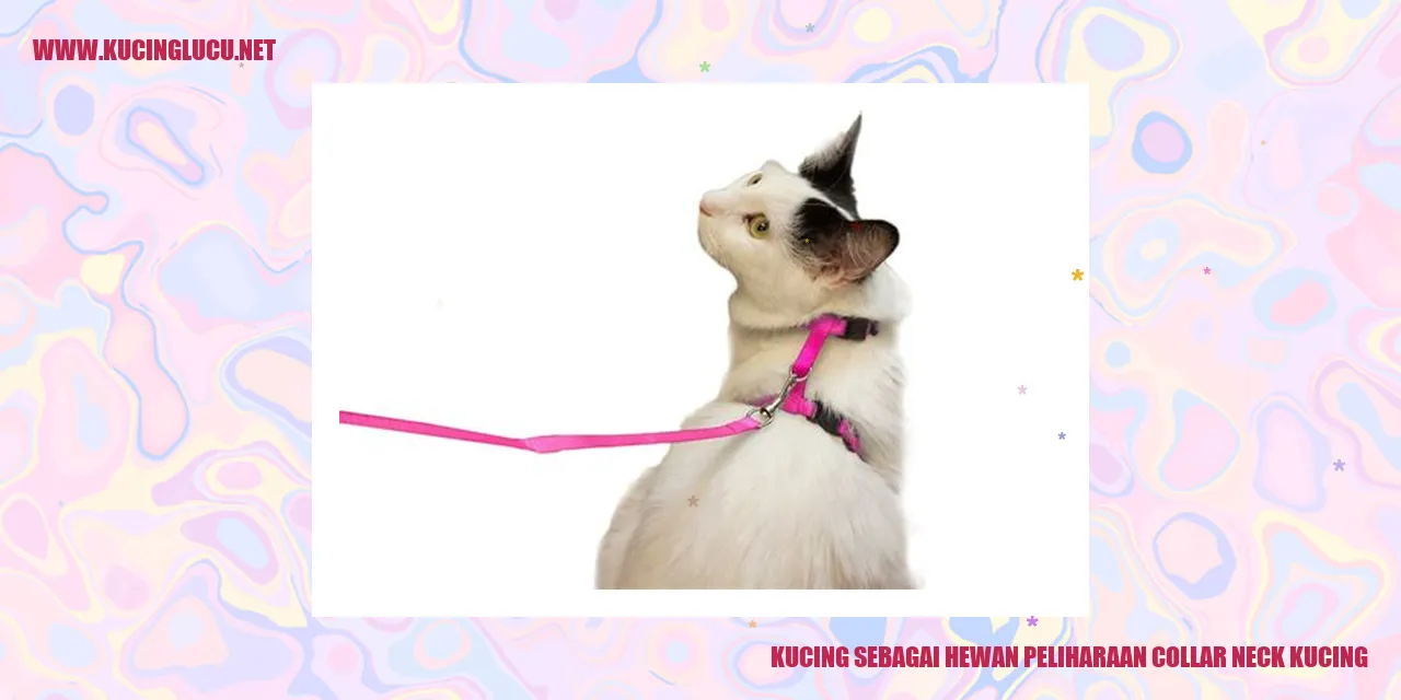 Kucing dengan Leher Berkerah
